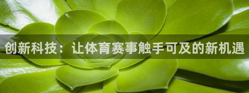 创新科技：让体育赛事触手可及的新机遇