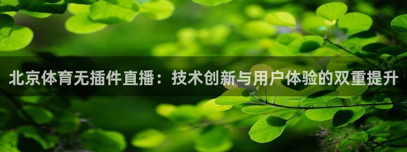 北京体育无插件直播：技术创新与用户体验的双重提升
