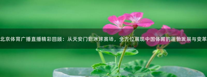 北京体育广播直播精彩回顾：从天安门到冰球赛场，全方位展现中国体育的蓬勃发展与变革