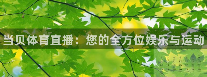 当贝体育直播：您的全方位娱乐与运动