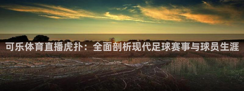 可乐体育直播虎扑：全面剖析现代足球赛事与球员生涯