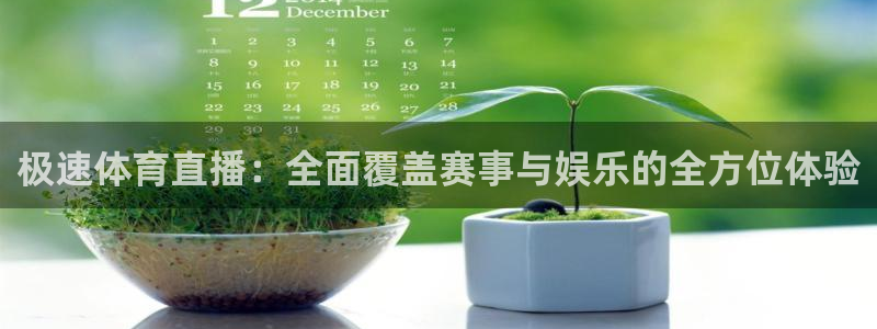 极速体育直播：全面覆盖赛事与娱乐的全方位体验