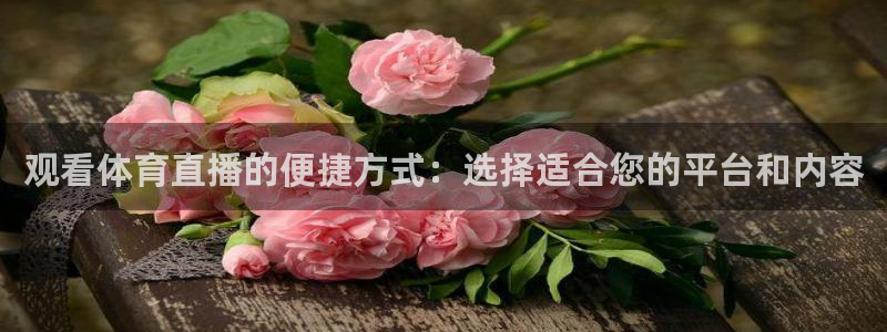 观看体育直播的便捷方式：选择适合您的平台和内容