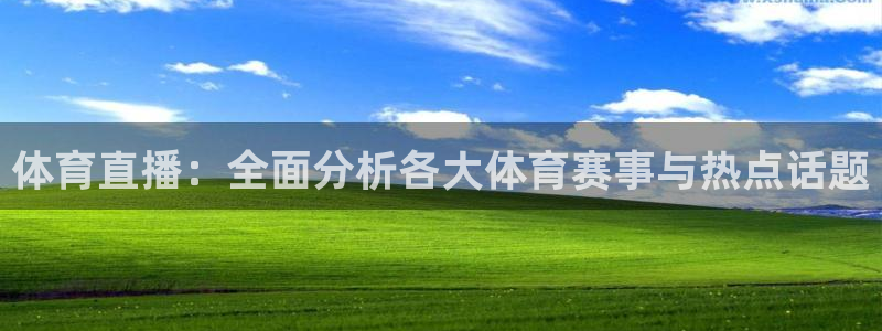 体育直播：全面分析各大体育赛事与热点话题