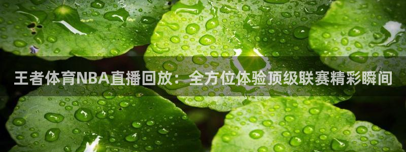 王者体育NBA直播回放：全方位体验顶级联赛精彩瞬间