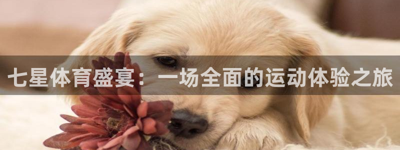 七星体育盛宴：一场全面的运动体验之旅