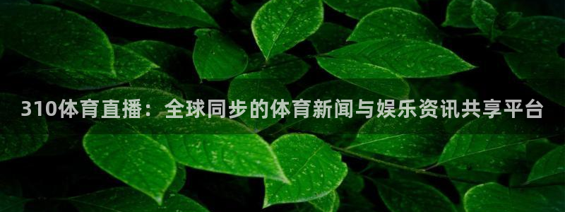 310体育直播：全球同步的体育新闻与娱乐资讯共享平台